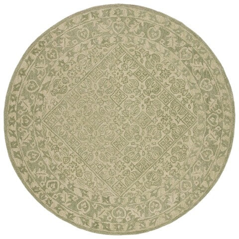 safavieh clearance dip dye ddy151y green rug
