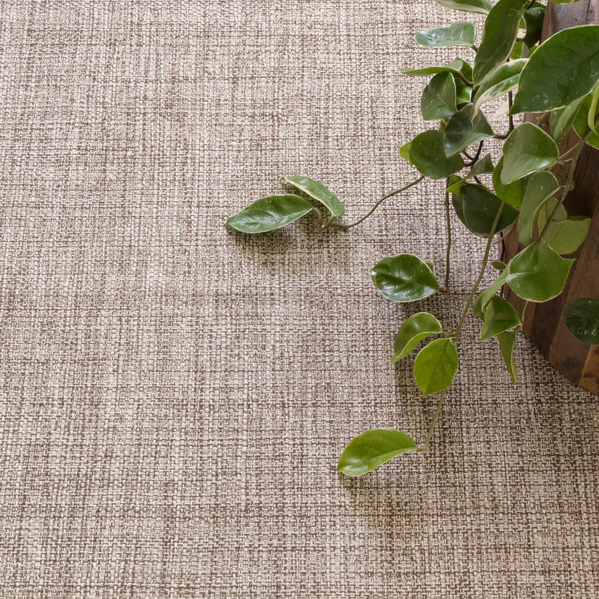 dash albert marled da134 brown rug