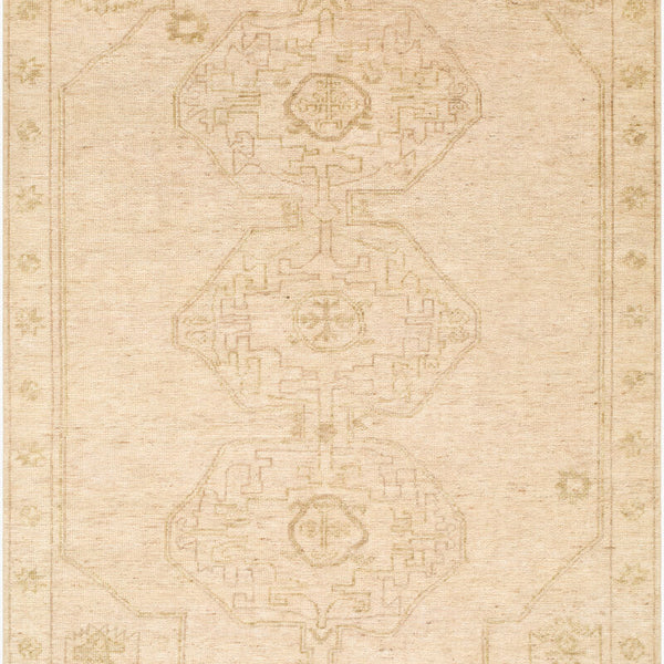 surya destiny dey 2301 beige rug
