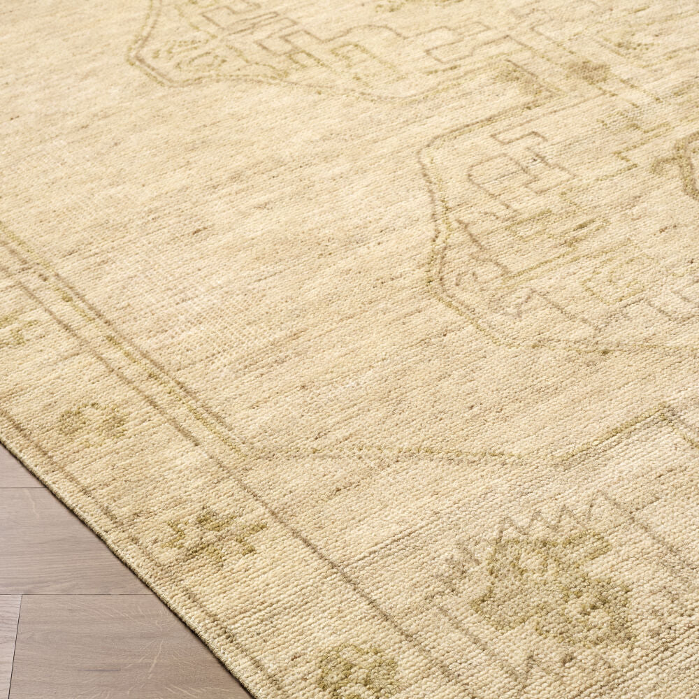 surya destiny dey 2301 beige rug