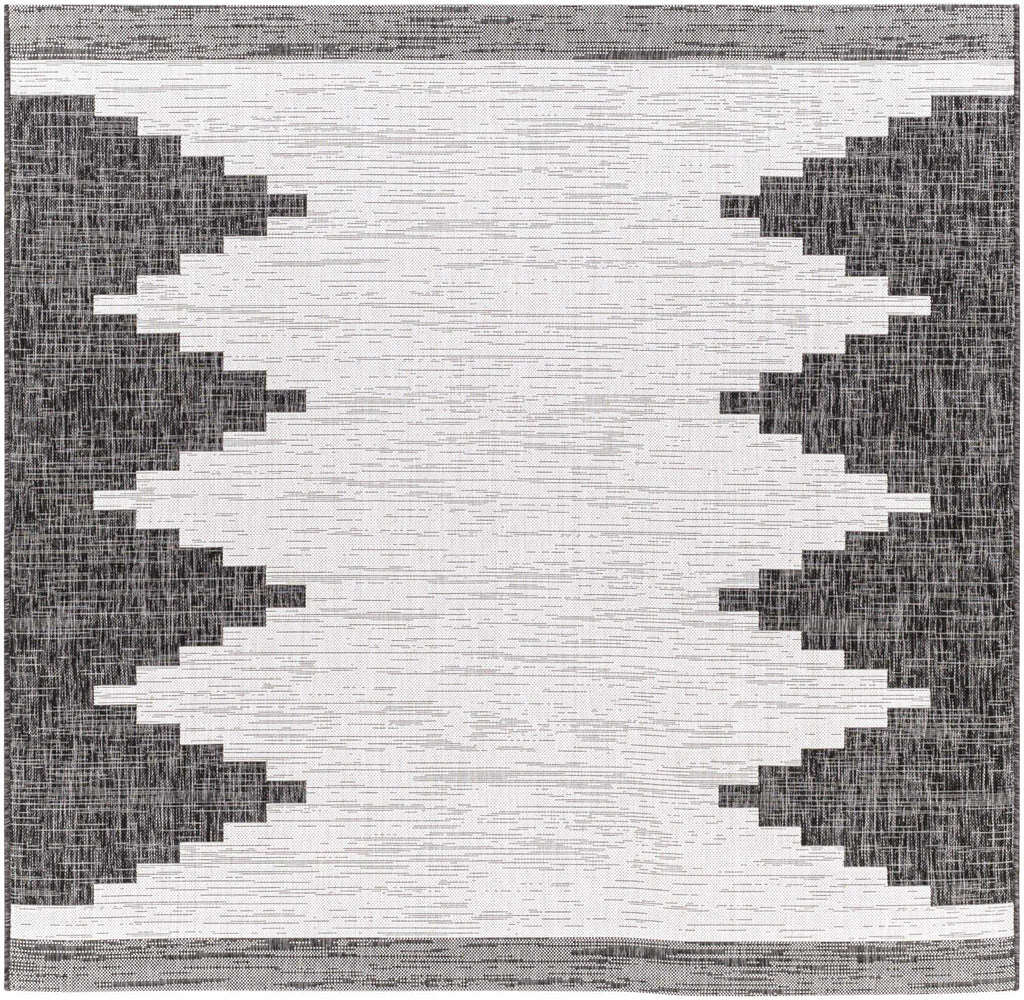 Hauteloom Djugun DJU Black Machine Made Polypropylene Rug