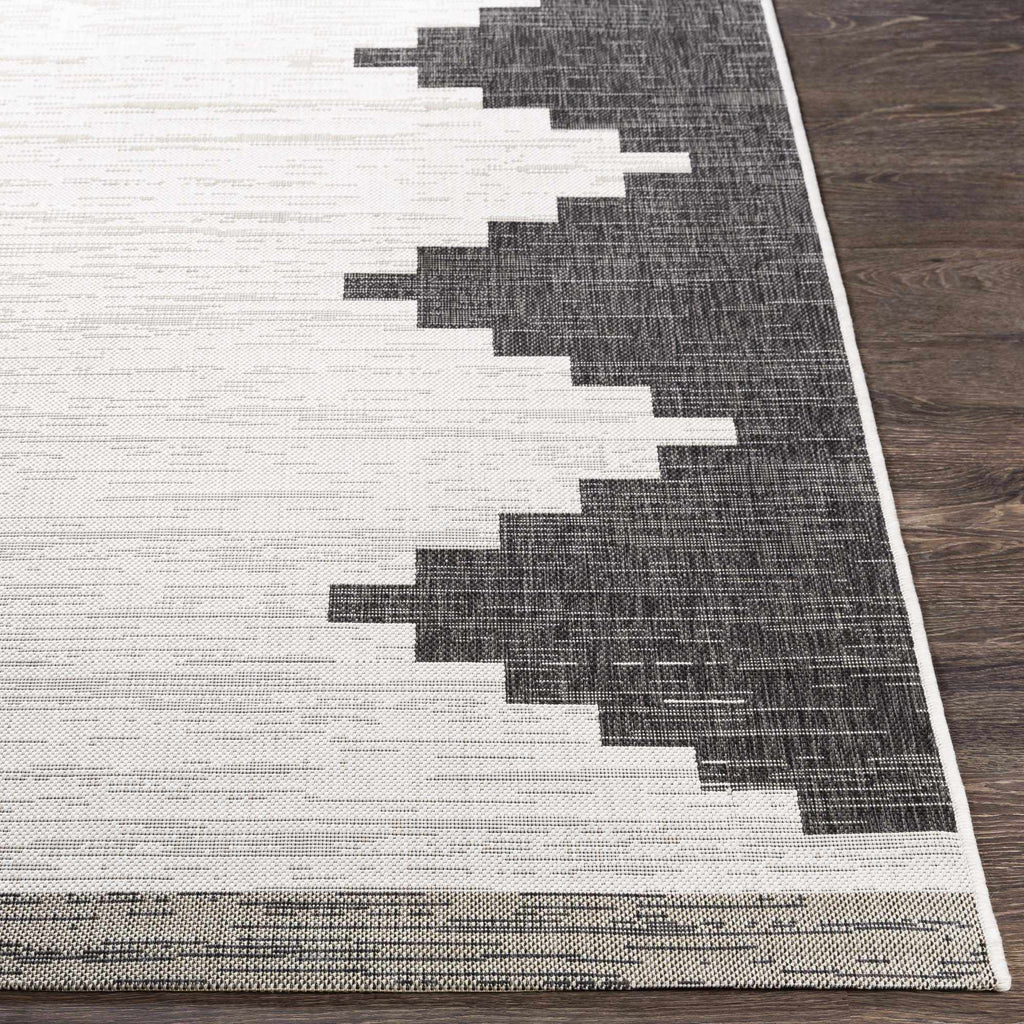 Hauteloom Djugun DJU Black Machine Made Polypropylene Rug