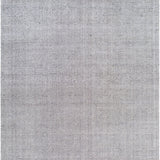 surya davala dvl 2303 taupe rug