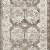 nourison dekor dek01 ivory brown rug