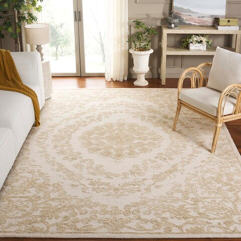 safavieh clearance ebony ebn218a ivory rug