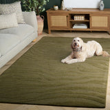 safavieh clearance ebony ebn506y green rug