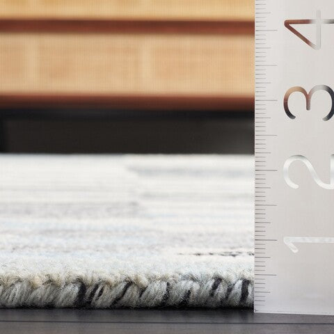 safavieh clearance ebony ebn701a ivory rug
