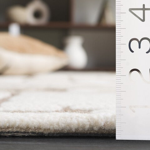 safavieh clearance ebony ebn815t ivory rug