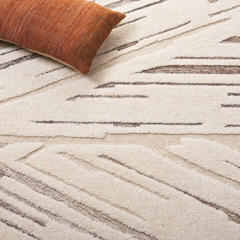 safavieh clearance ebony ebn817t ivory rug