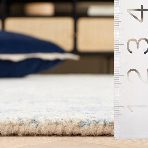 safavieh clearance ebony ebn904a ivory rug