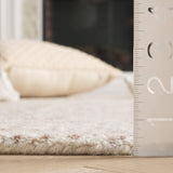 safavieh clearance ebony ebn907a ivory rug