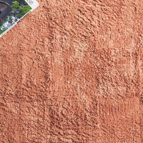 safavieh clearance easy care ecr222p rust rug