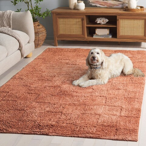 safavieh clearance easy care ecr222p rust rug