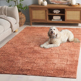 safavieh clearance easy care ecr222p rust rug