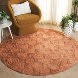 safavieh clearance easy care ecr222p rust rug