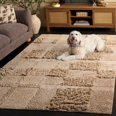 safavieh clearance easy care ecr225b beige rug