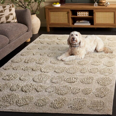 safavieh clearance easy care ecr227w sage rug