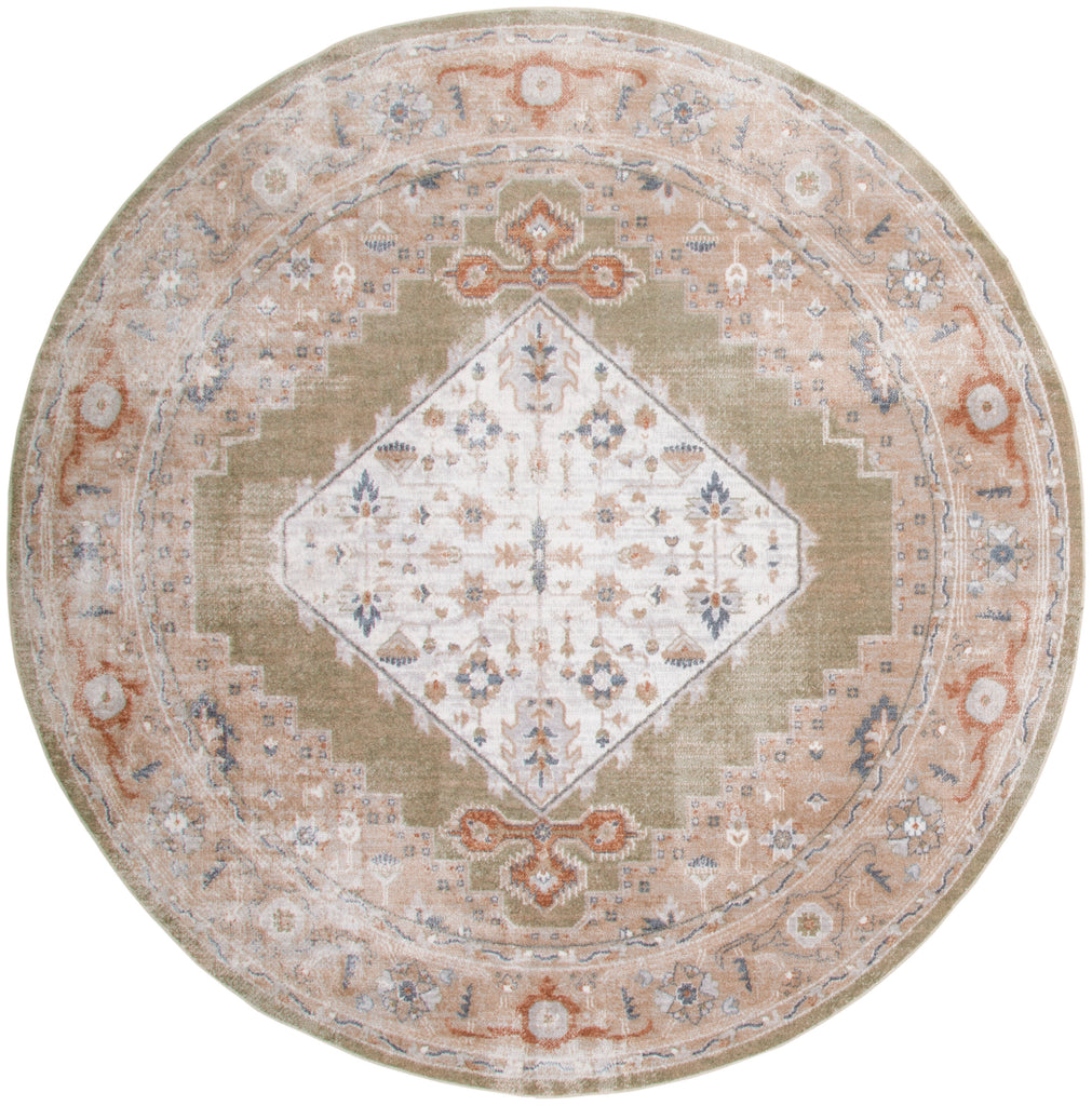 nourison astra machine washable asw11 sage multicolor rug