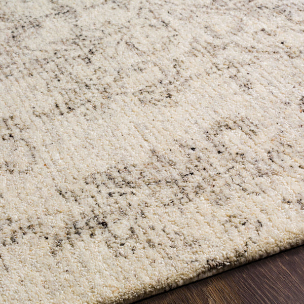 surya evolution evl 2301 gray rug