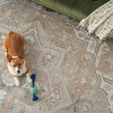nourison astra machine washable asw12 beige rug