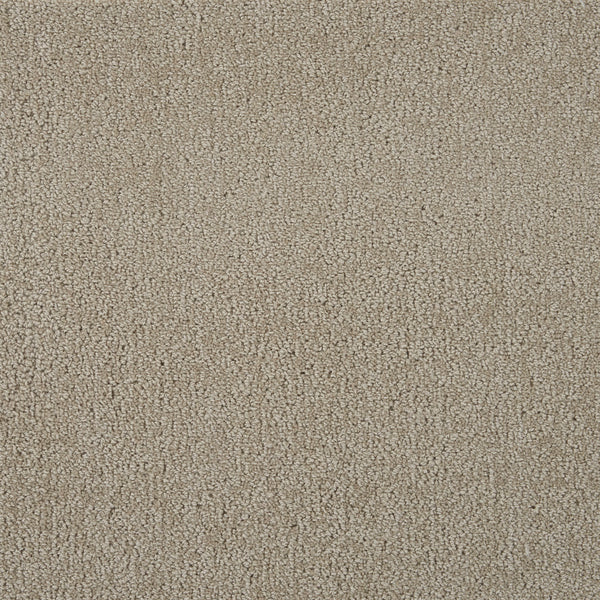 rugs done right custom majesty 2 majs2 pottery rug