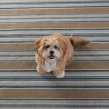 dash albert blue heron stripe da142 blue rug