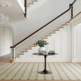 dash albert chandler da2386 tan machine washable polyester rug