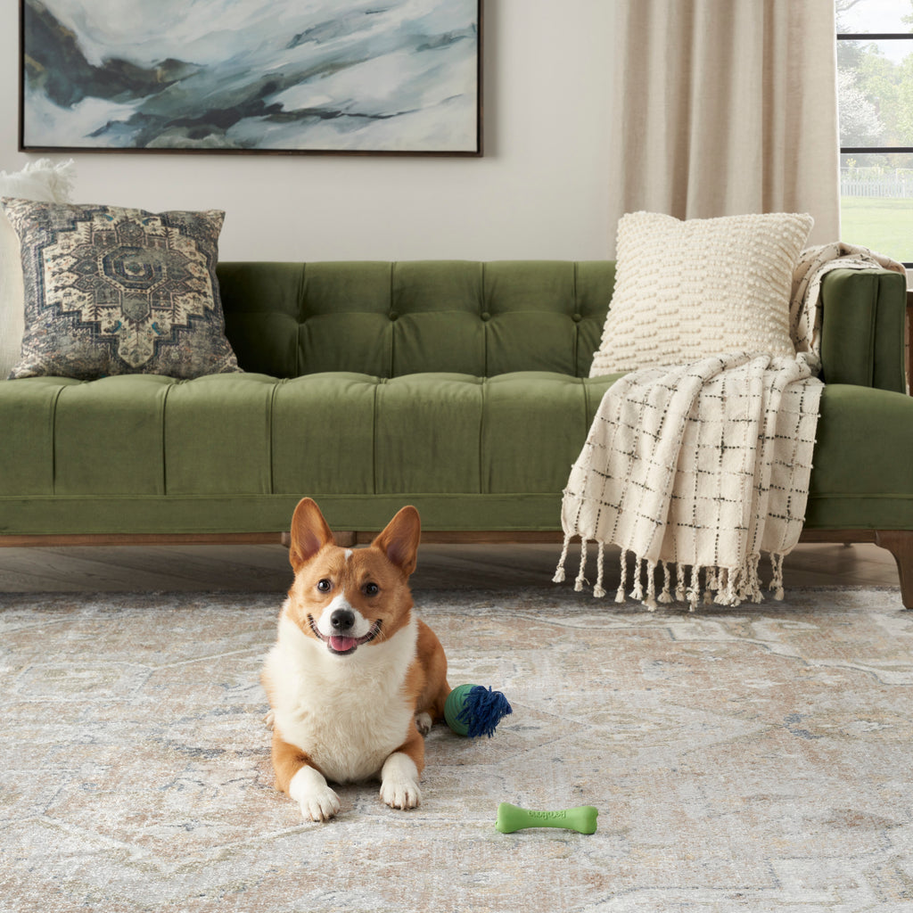 nourison astra machine washable asw12 beige rug