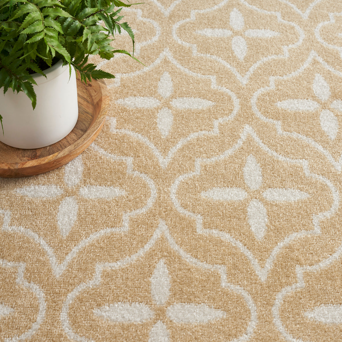 nourison nourison essentials nre04 beige ivory rug