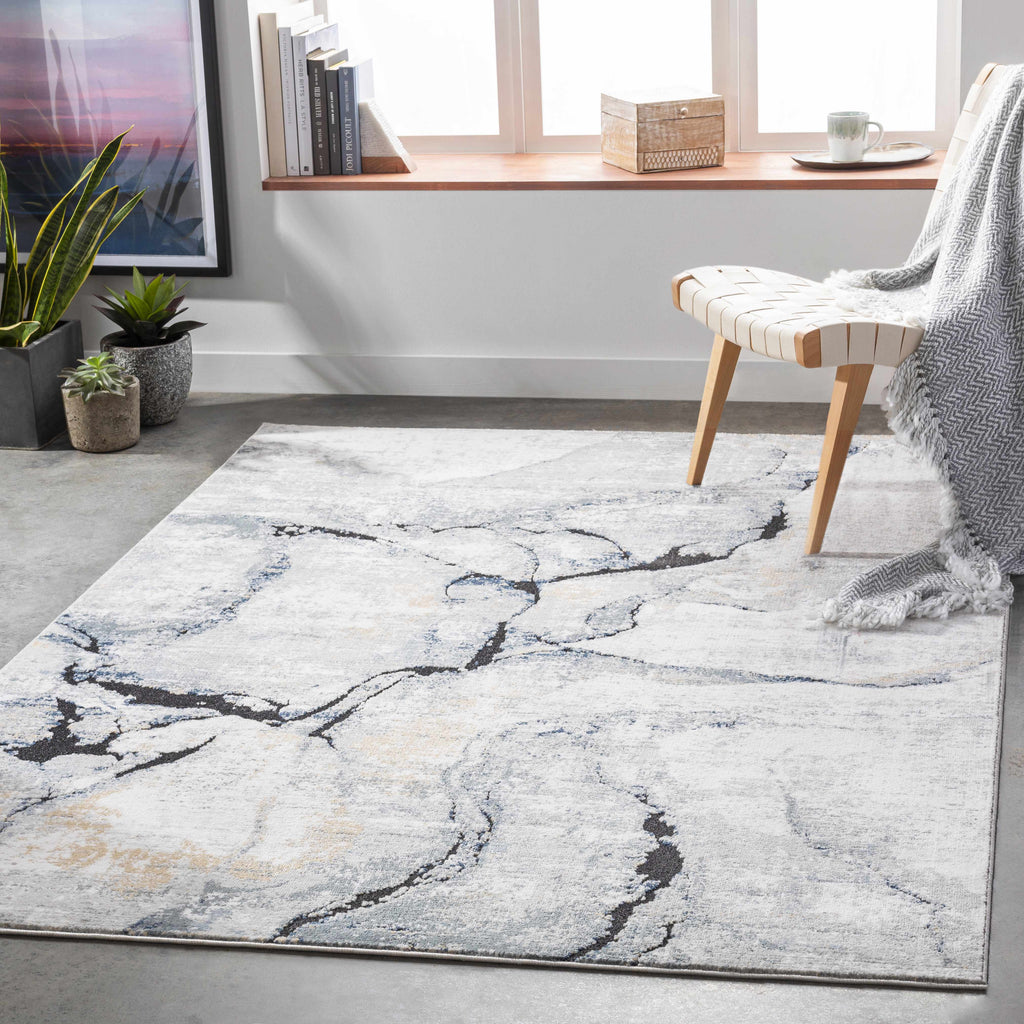 Hauteloom Fremantle FREMA Light Gray Machine Made Polypropylene Rug