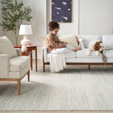nourison alanna aln01 silver rug