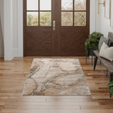 nourison silk shadows sha24 beige silver rug