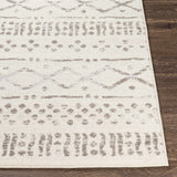 Hauteloom Geebung GEEB Medium Gray Machine Made Polypropylene Rug