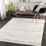 Hauteloom Geebung GEEB Medium Gray Machine Made Polypropylene Rug