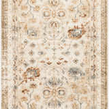 nourison pardis prd01 ivory rust rug