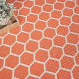 nourison twist reversible tws01 coral rug
