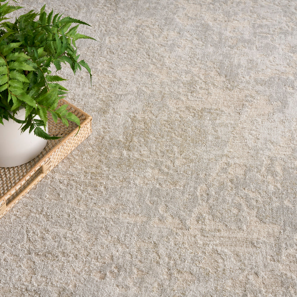 nourison envy evv01 ivory grey rug