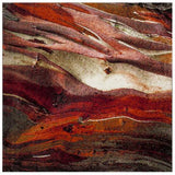 safavieh clearance glacier gla126a red rug