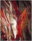 safavieh clearance glacier gla126a red rug