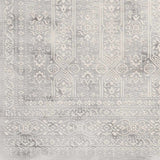 Hauteloom Glyncorrwg GLYNC Light Gray Machine Made Polypropylene Rug