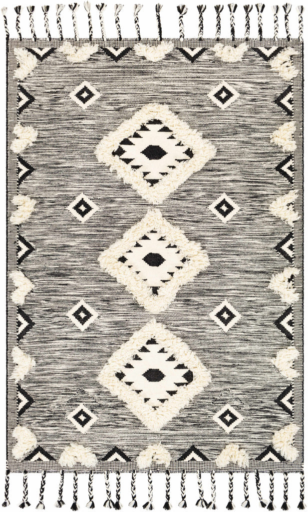 Hauteloom Gardner GRDIR Black Woven/Flatwoven Wool Rug