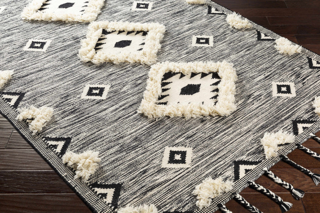 Hauteloom Gardner GRDIR Black Woven/Flatwoven Wool Rug