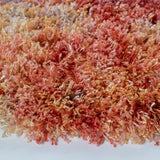 safavieh clearance gypsy gyp520a rust rug