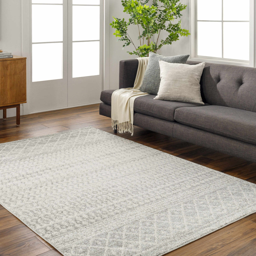 Hauteloom Harput HAR Light Gray Machine Made Polypropylene Rug
