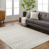 Hauteloom Harput HAR Light Gray Machine Made Polypropylene Rug