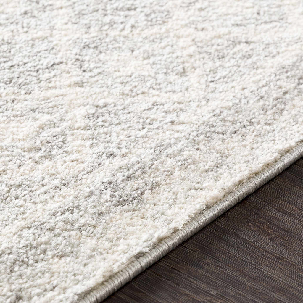 Hauteloom Harput HAR Light Gray Machine Made Polypropylene Rug