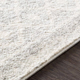 Hauteloom Harput HAR Light Gray Machine Made Polypropylene Rug