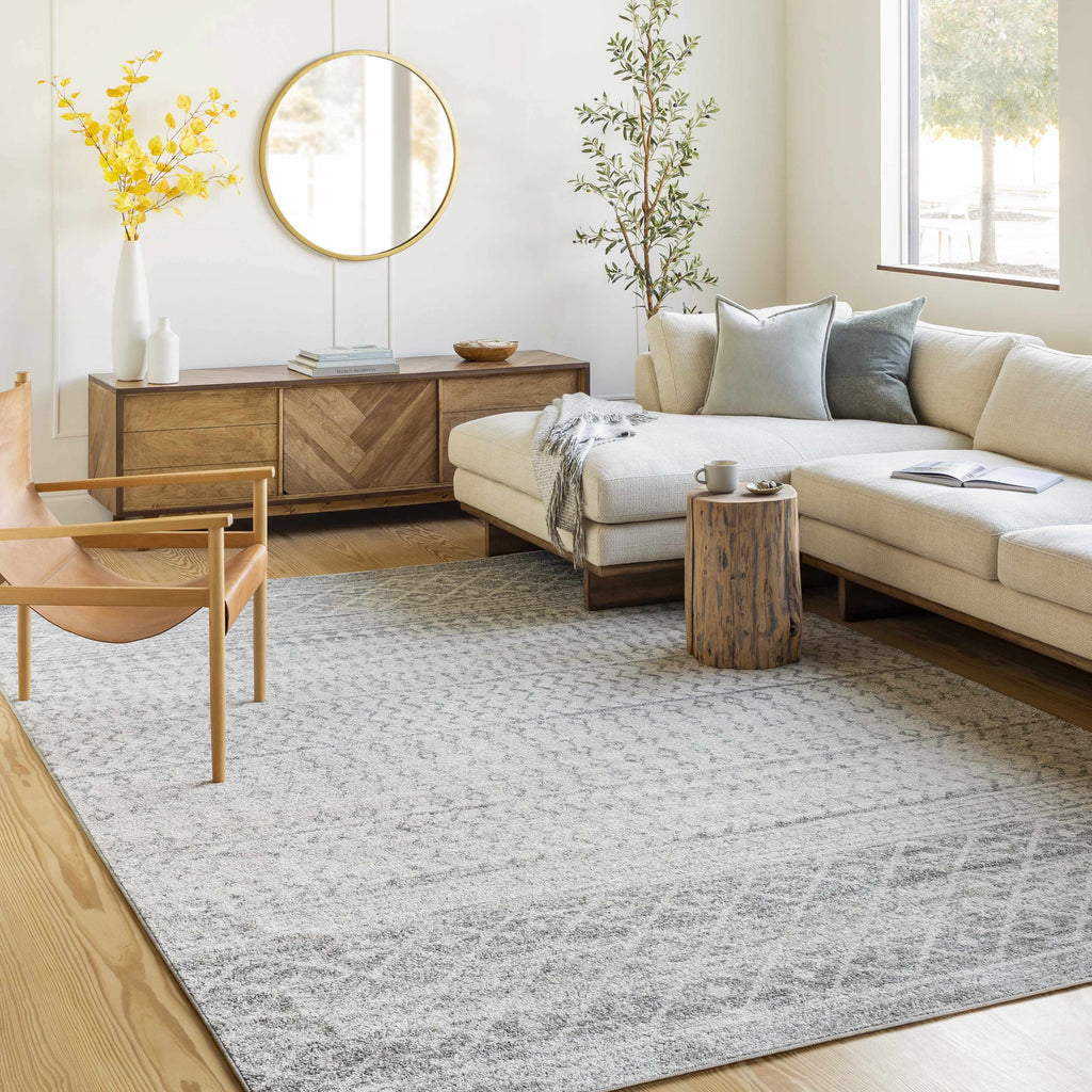 Hauteloom Harput HAR Light Gray Machine Made Polypropylene Rug