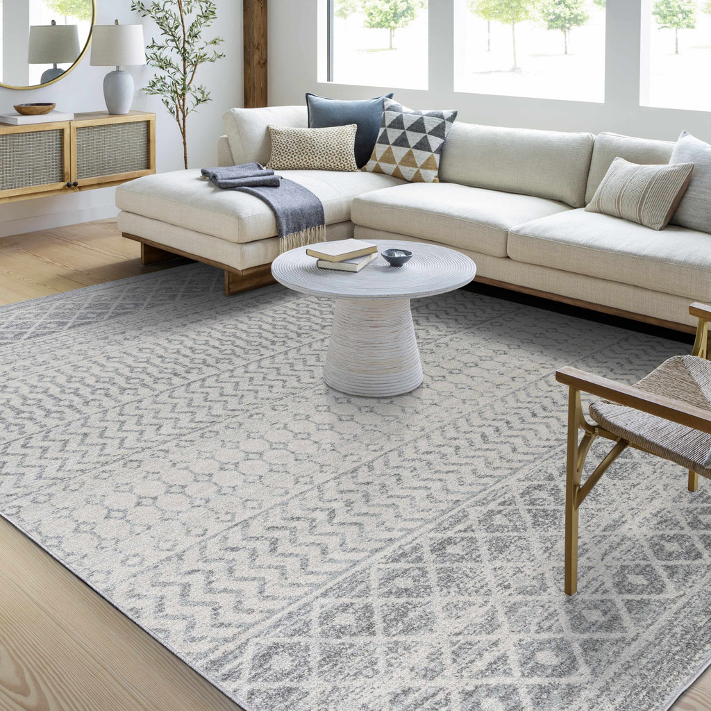 Hauteloom Harput HAR Light Gray Machine Made Polypropylene Rug