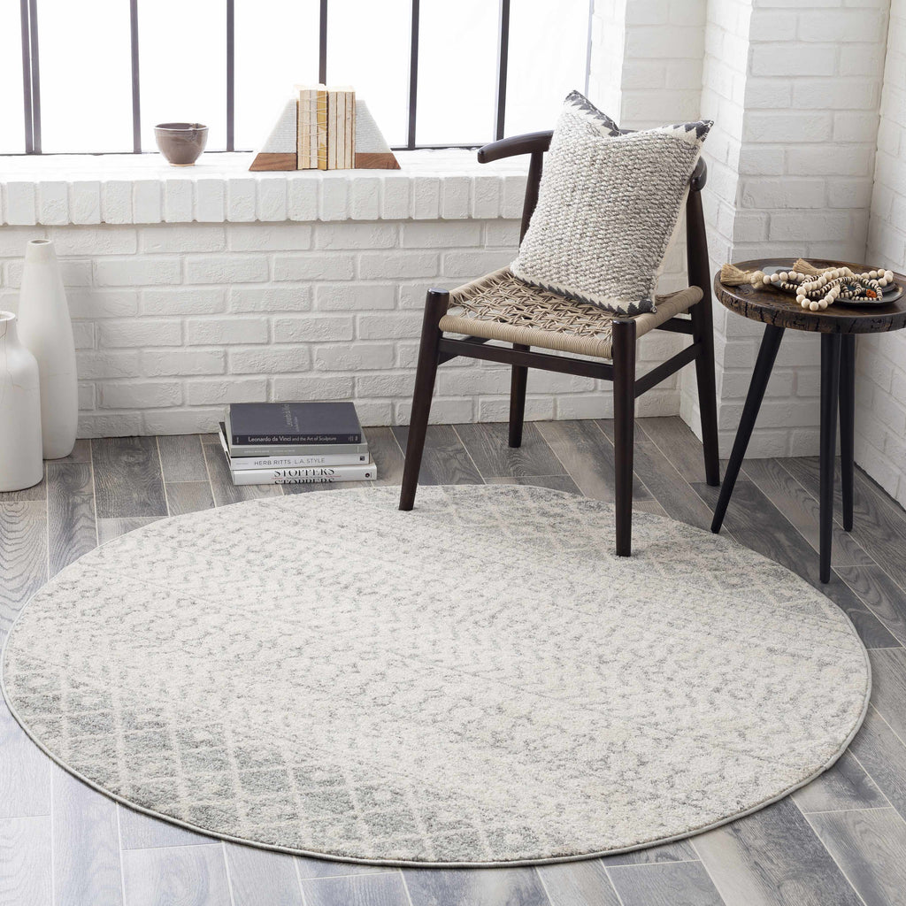 Hauteloom Harput HAR Light Gray Machine Made Polypropylene Rug